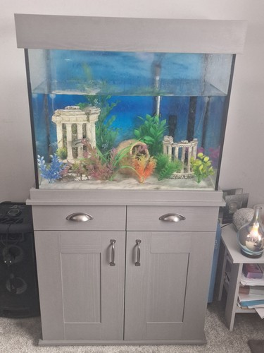 Fluval shaker 168l fish tank - fluval,