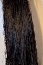 Brown  Real Horse Hair on Hide