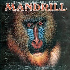 Mandrill beast from the east - mandrill,