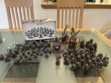 Pro Painted Seraphon Army Warhammer Age Sigmar 2000 Points