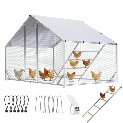 Large chicken coop metal - large, coop,
