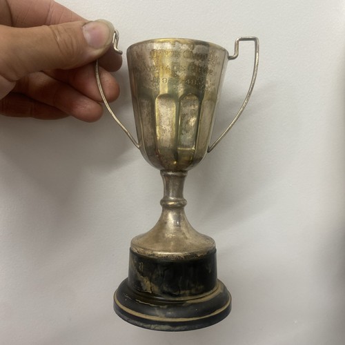 Vintage collectable trophy cup - vintage,