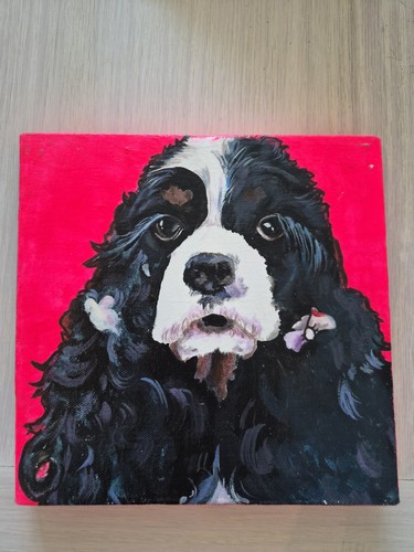 Cavalier king charles spaniel - cavalier,
