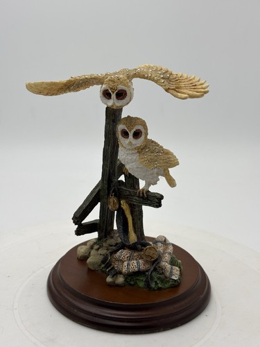 Pair baby barn owls - a, of