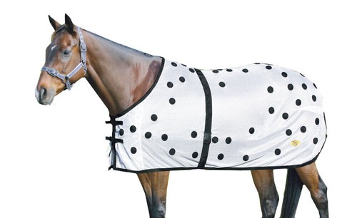 Aust horse magnetic - horse,