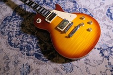 Hodson Les Paul copy with Stagg Hardcase