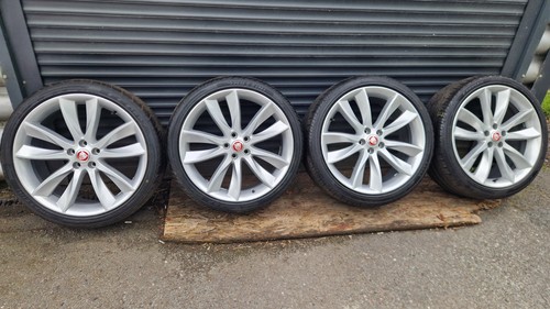 Genuine rare jaguar - rare, xf