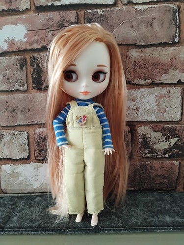 Blythe inspired icy - icy, doll