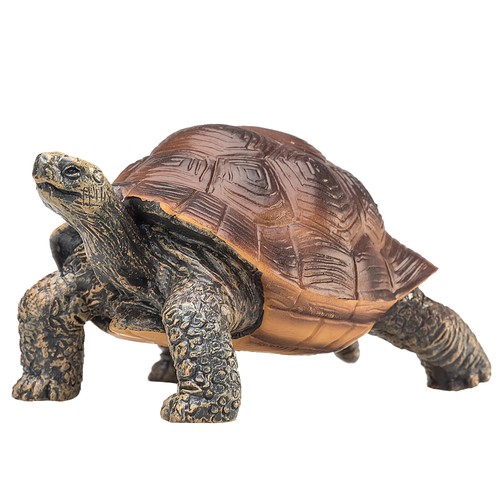 Mojo giant tortoise - giant,