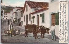 Postcard 1905 RMS Carisbrook