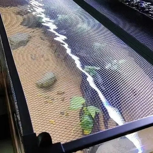 Stardy magnetic fish - magnetic, tank