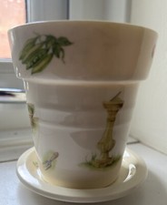Aynsley Edwardian Kitchen Garden - Flower Pot and Saucer  
