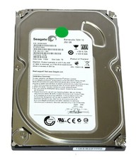 Seagate ST3250318AS 9SL131-302