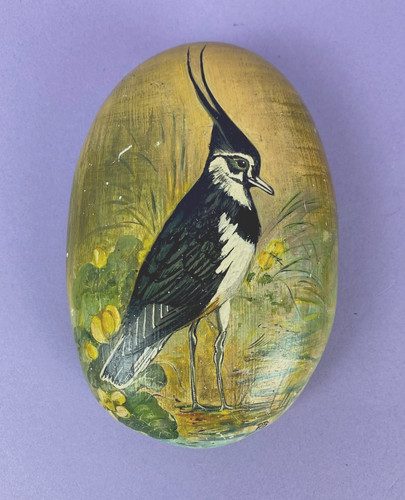 Lapwing peewit vintage hand - vintage,