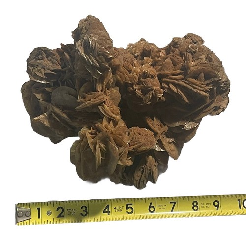 Large desert rose rust - large,