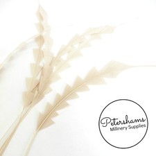 Zig Zag Coque Feather for