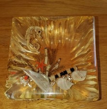 Vintage Amber Colour Resin Seascape Seahorse & Starfish Paperweight 4x4.5x1.5"