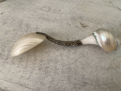Mother pearl natural shell - of, pearl/natural