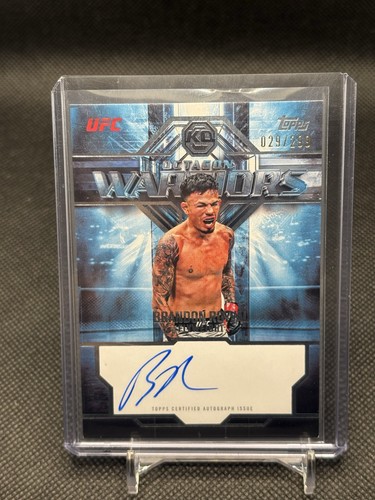 2026 topps knockout ufc - 2026,