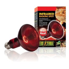 Exo Terra Reptile Infrared