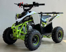 Off Road 125cc ATV Quad Bike 4