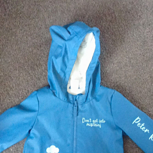 Peter rabbit blue - peter, hooded