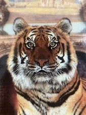Franklin Mint Fine Porcelain Ltd Edition Palatial Tiger Display Plate ✅ 1153