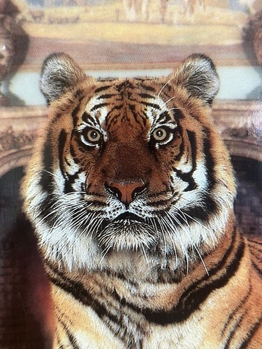 Franklin mint fine porcelain - franklin,
