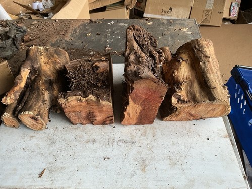 Yew block well seasoned - block,
