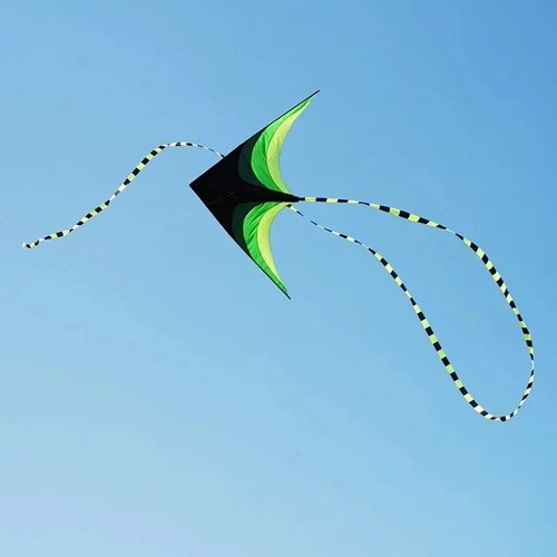 Yongjian large delta - kite, for