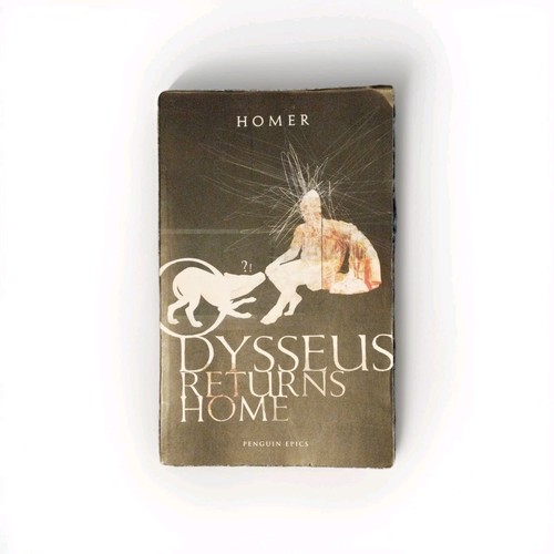 Odysseus returns home - odysseus, homer