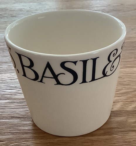 Emma bridgewater plant pot - emma,