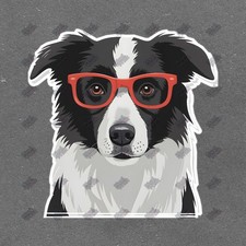 Quirky Border Collie Dog Wall