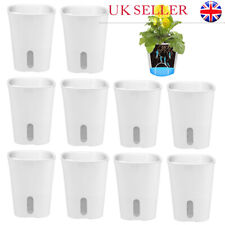 10X Hydroponic Plant Pot Plant