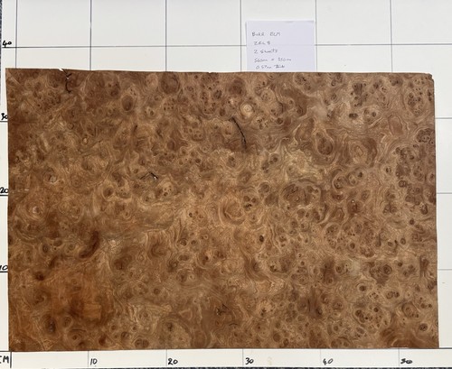 Burr elm veneer - burr, 2