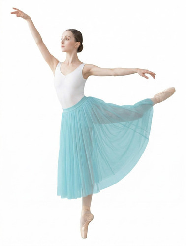 Chiffon ballet skirt full - ballet,