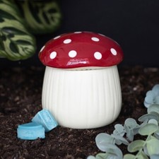 Cute toadstool mushroom - toadstool,