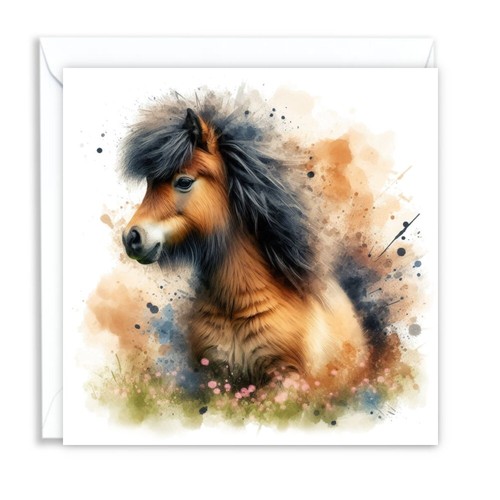 Shetland pony horse - pony,
