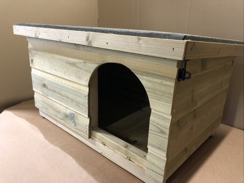 Large cat small dog - , kennel/
