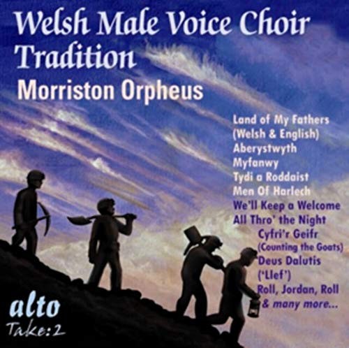 Sims welsh male - -, voice