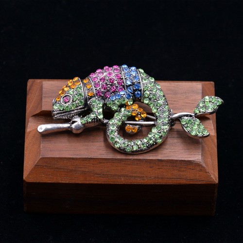 Stunning chameleon lizard - stunning,