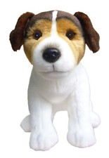 12" Tri Colour Jack Russell