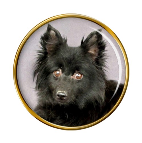 Schipperke dog lapel pin badge - lapel,