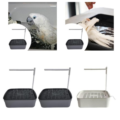 Automatic bird bath - bath, tub