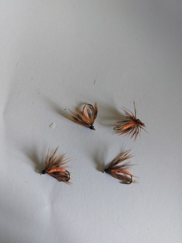 Partridge and orange wet - partridge,