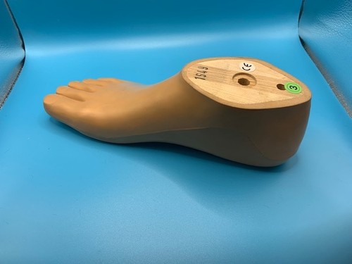 Otto bock right sach foot - right,