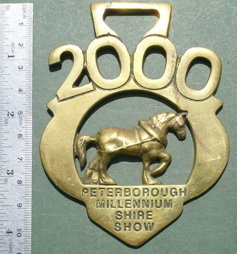 Horse brass peterborough - horse,