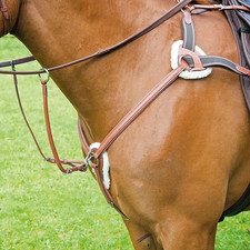 Shires Avignon 5 Point