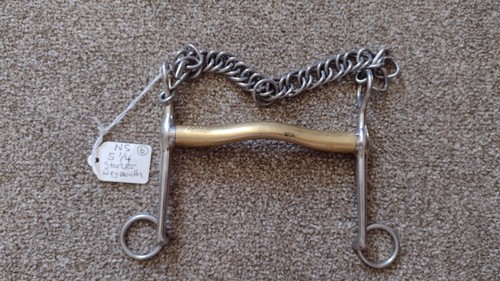 Neue schule starter weymouth - schule,
