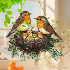 Robin Birds Nest with Chicks